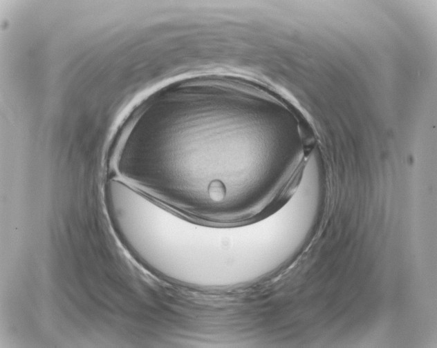 X0000087591508200705112250