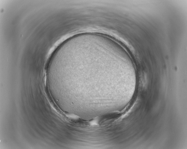 X0000087591509200705112250