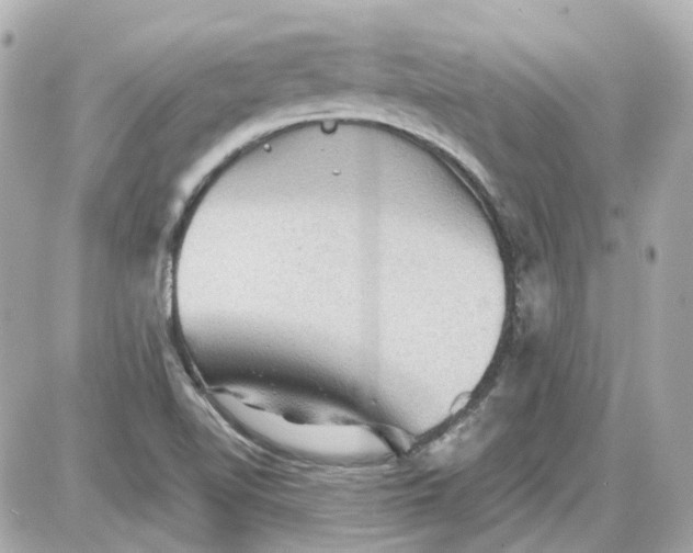 X0000087591510200705112250