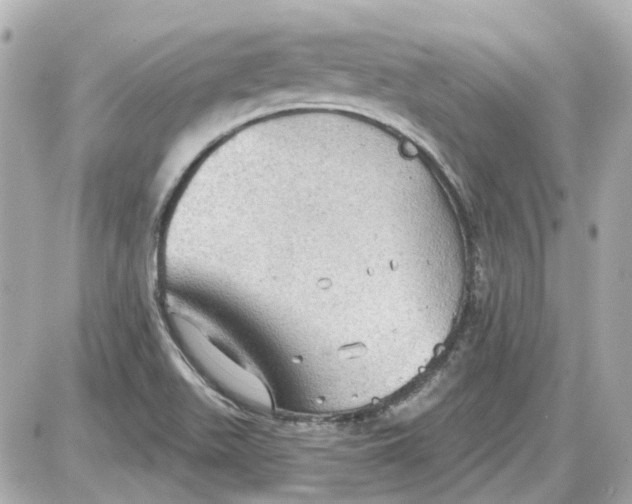 X0000087591511200705112250