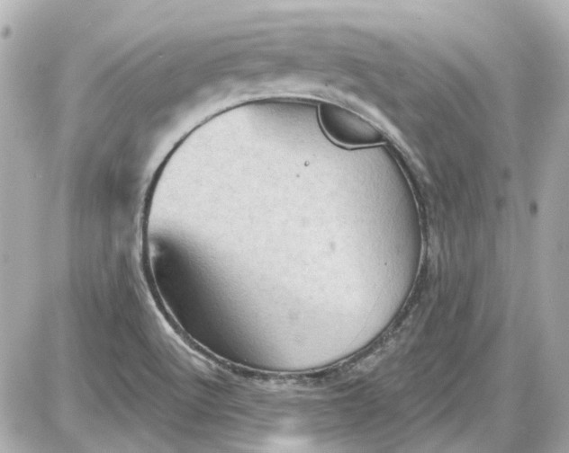 X0000087591512200705112250