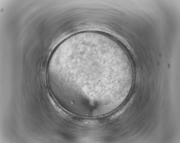 X0000087591513200705112250