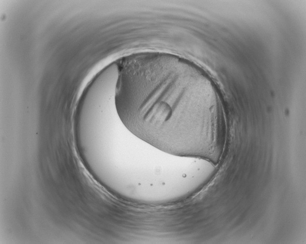 X0000087591514200705112250