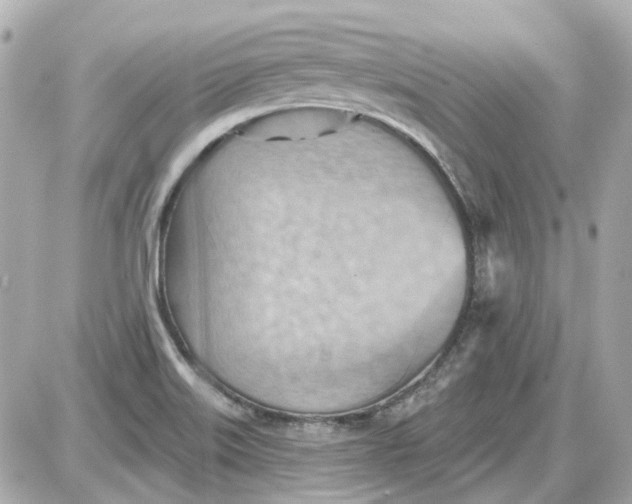 X0000087591515200705112250