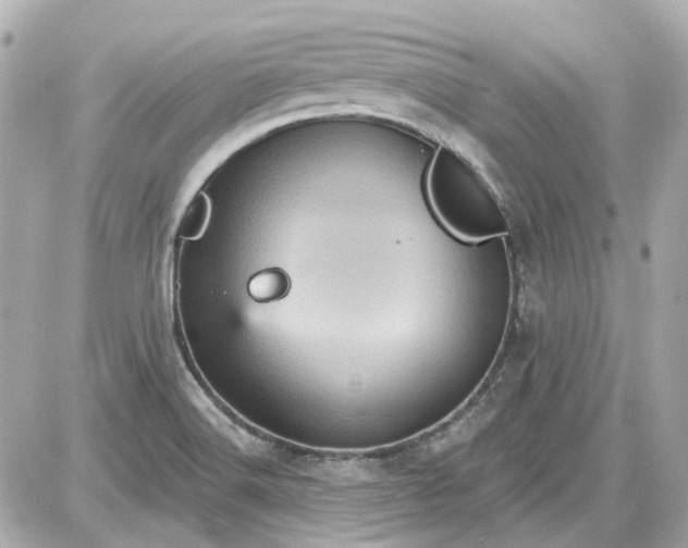 X0000087591516200705112250