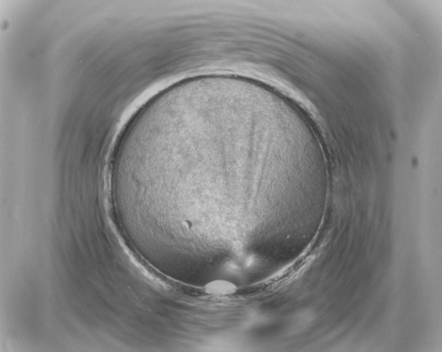 X0000087591517200705112250