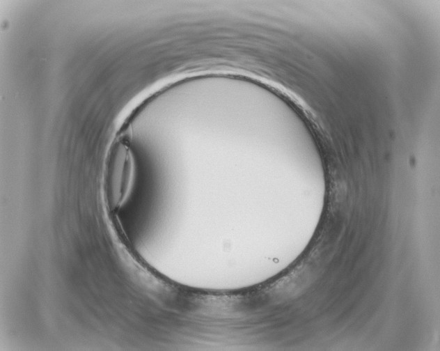 X0000087591518200705112250