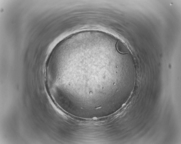 X0000087591519200705112250