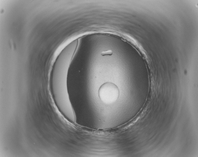 X0000087591520200705112250