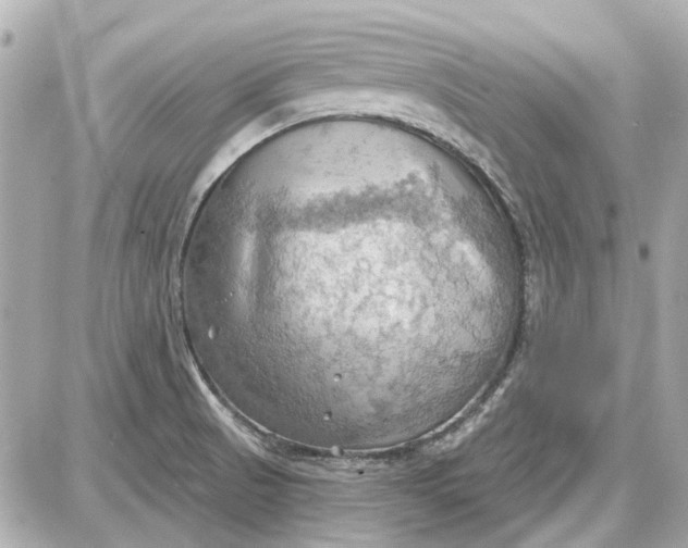 X0000087591521200705112250