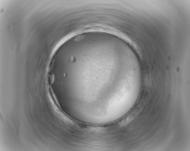 X0000087591522200705112250