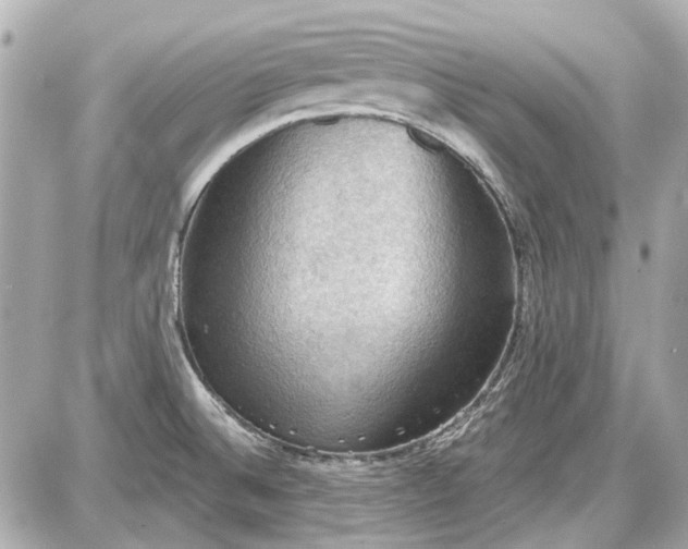 X0000087591524200705112250