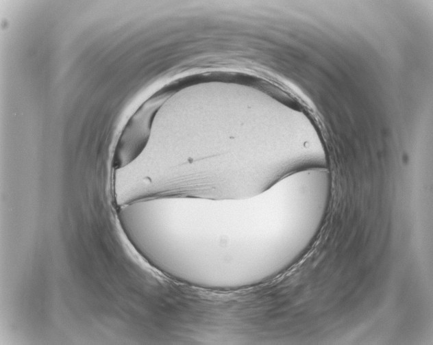 X0000087591528200705112250