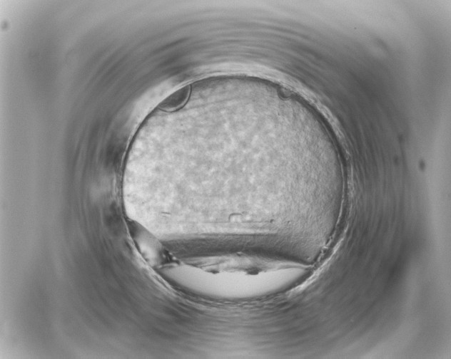 X0000087591529200705112250