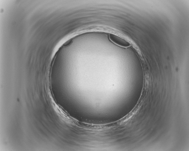 X0000087591530200705112250