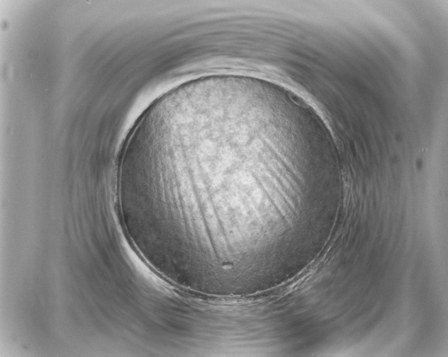 X0000087591531200705112250