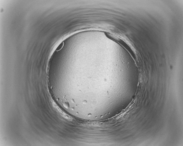 X0000087591532200705112250