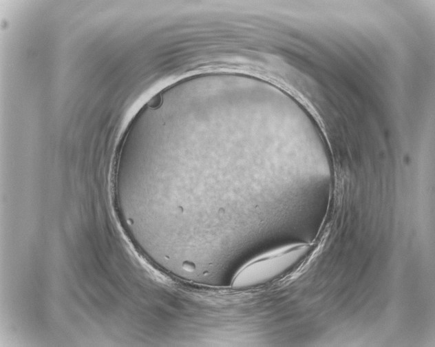 X0000087591533200705112250