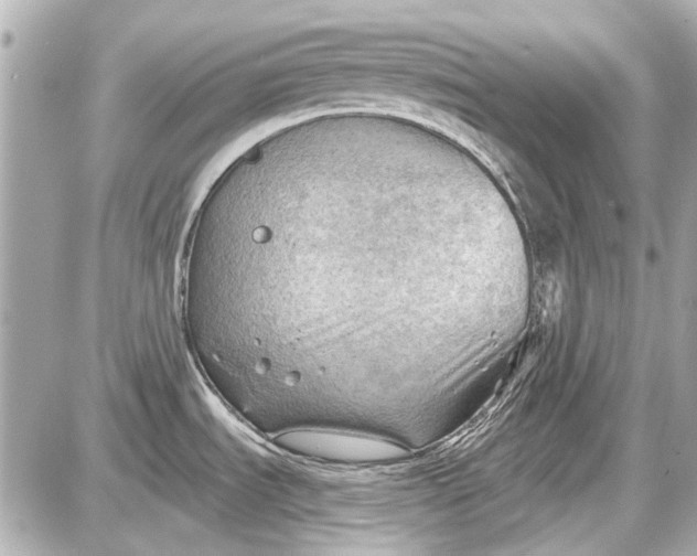 X0000087591535200705112250