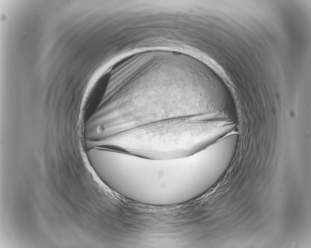 X0000087591536200705112250