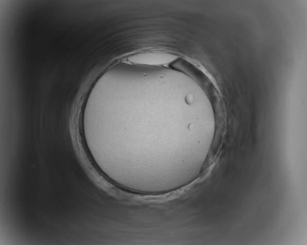 X0000087590001200705181227