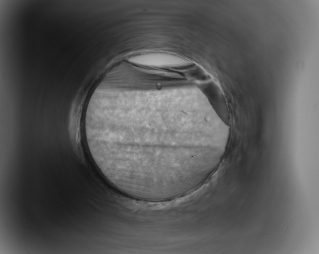 X0000087590002200705181227