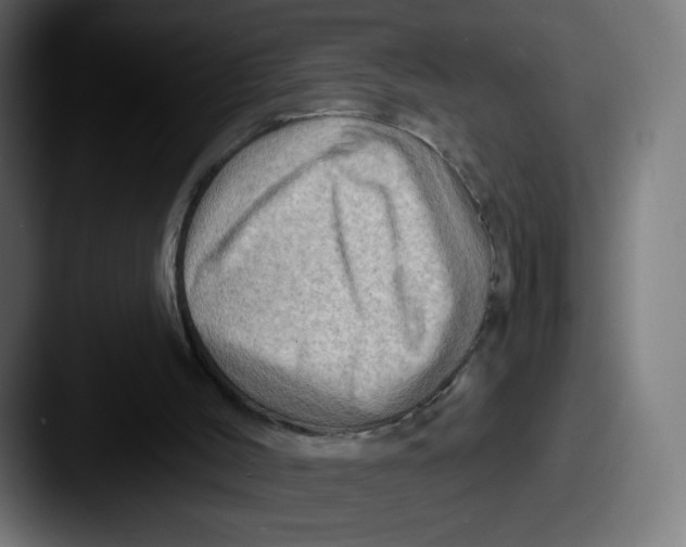 X0000087590004200705181227