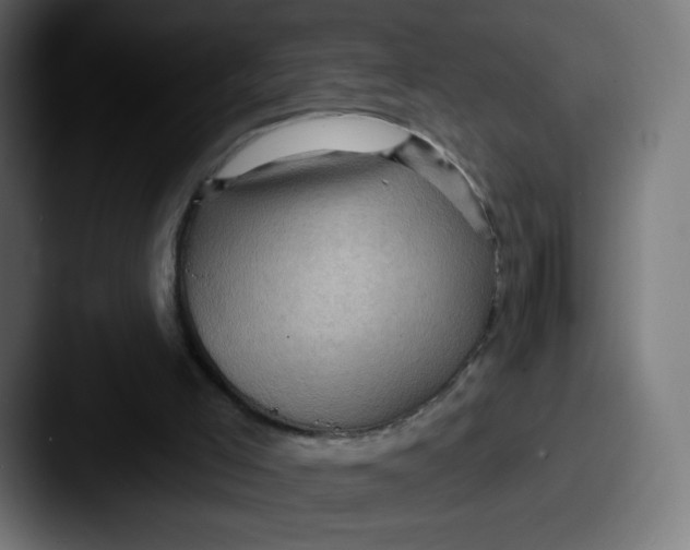 X0000087590005200705181227