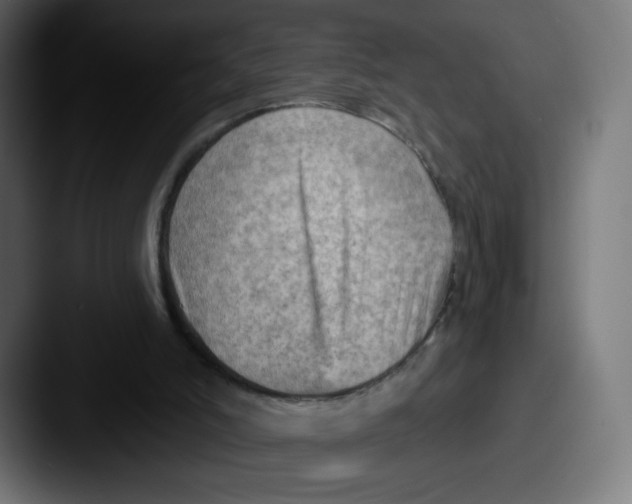 X0000087590006200705181227