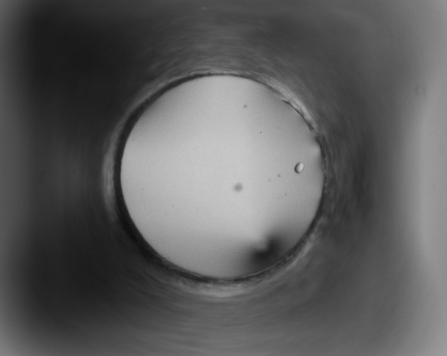 X0000087590008200705181227