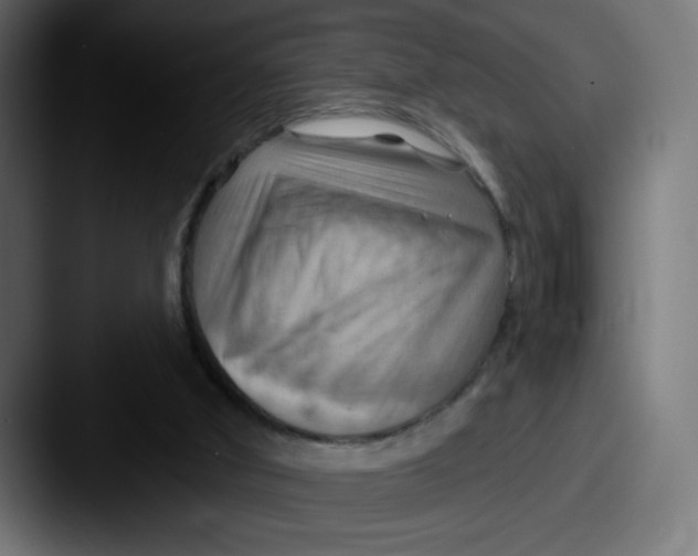 X0000087590010200705181227