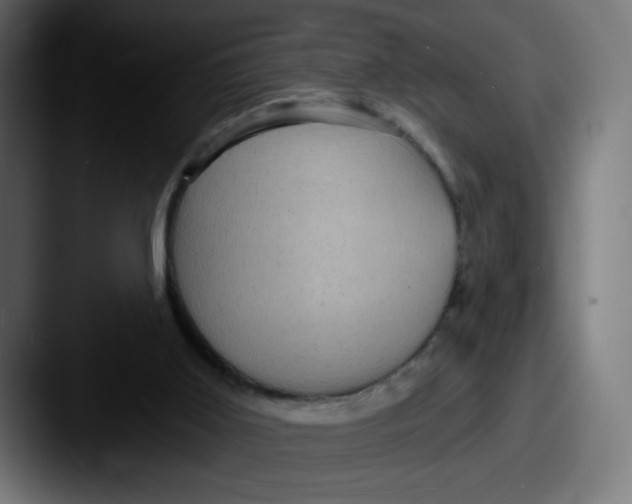 X0000087590011200705181227