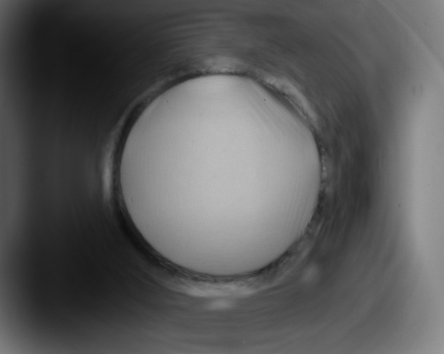 X0000087590012200705181227