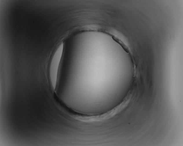 X0000087590013200705181227