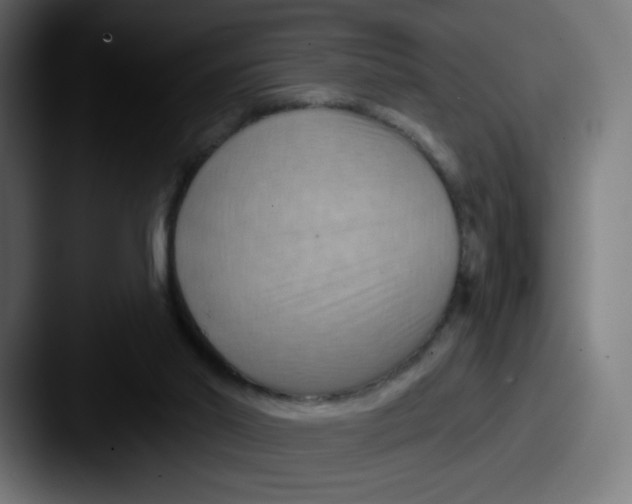 X0000087590014200705181227