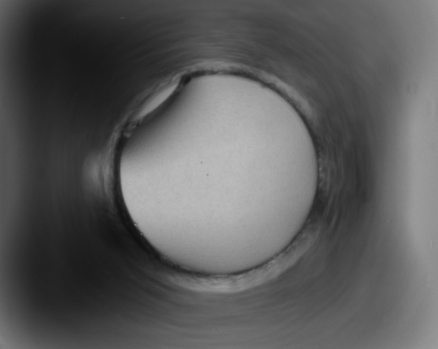 X0000087590015200705181227