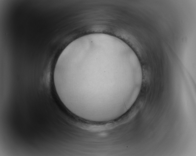 X0000087590016200705181227