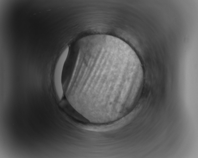 X0000087590017200705181227