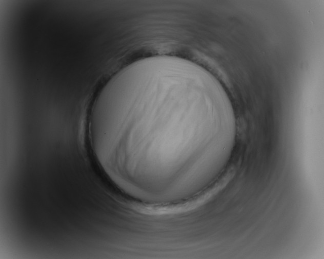 X0000087590018200705181227