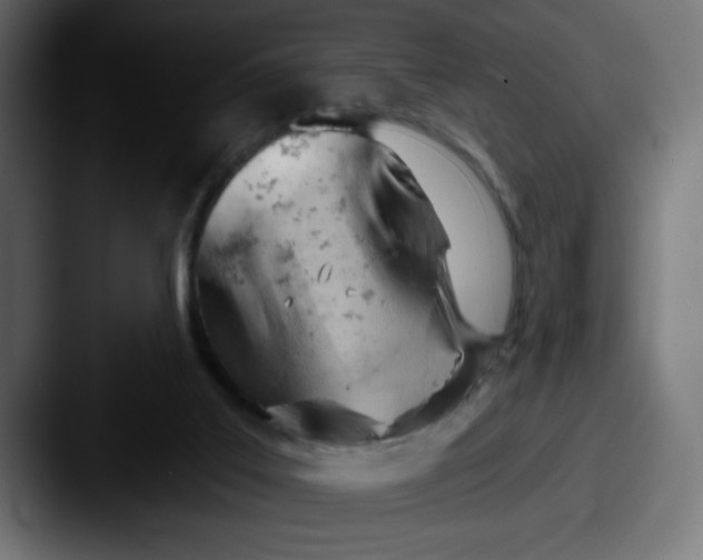 X0000087590019200705181227