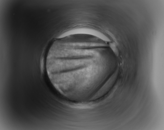 X0000087590020200705181227