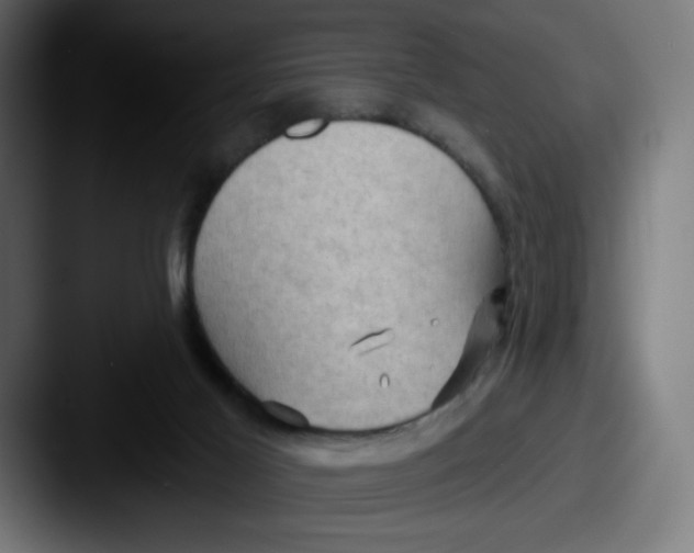 X0000087590021200705181227