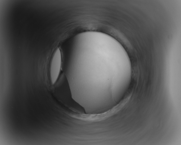 X0000087590023200705181227