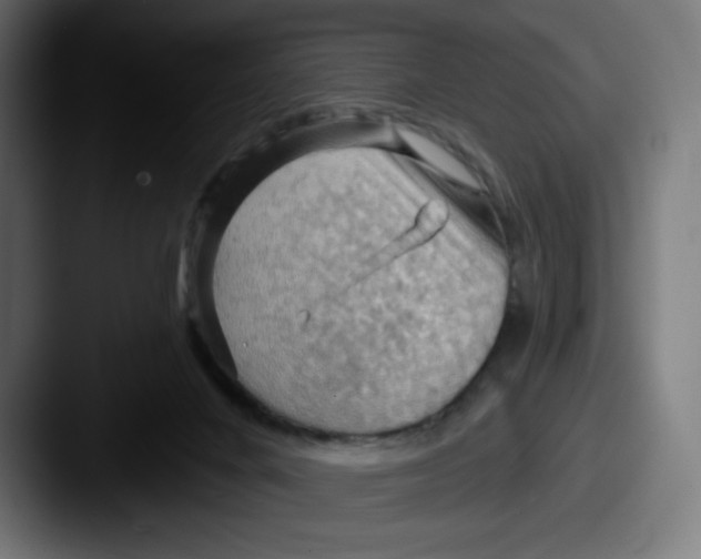 X0000087590024200705181227