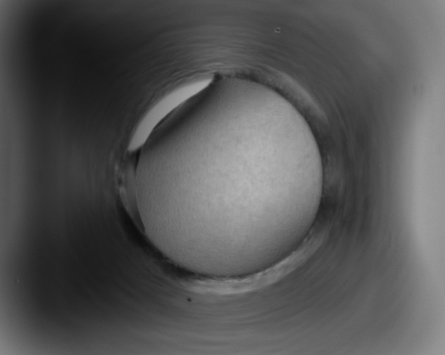 X0000087590025200705181227