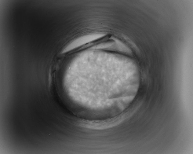 X0000087590026200705181227