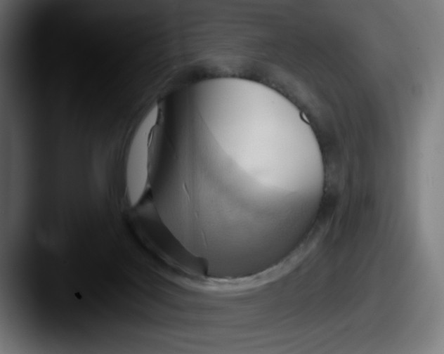 X0000087590027200705181227