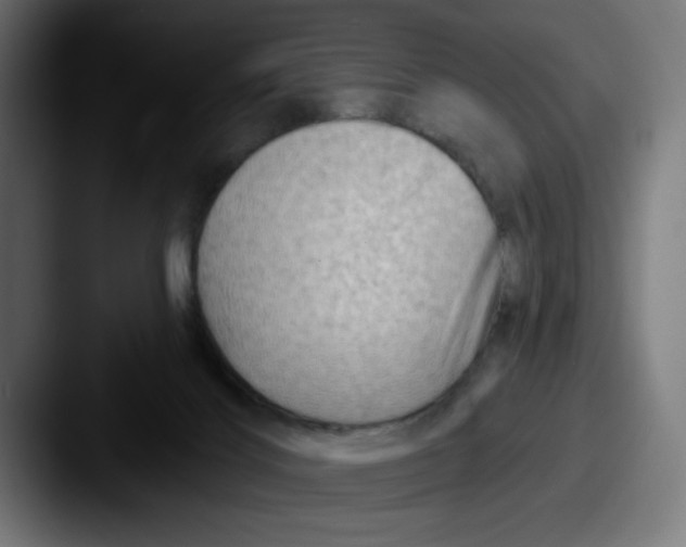 X0000087590028200705181227