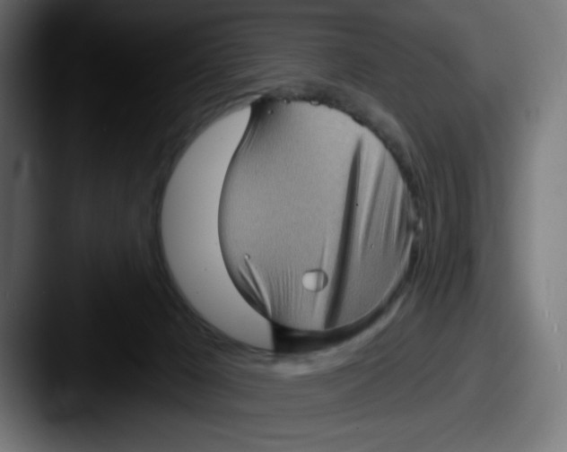 X0000087590029200705181227