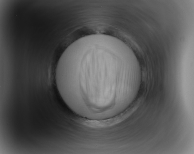 X0000087590030200705181227